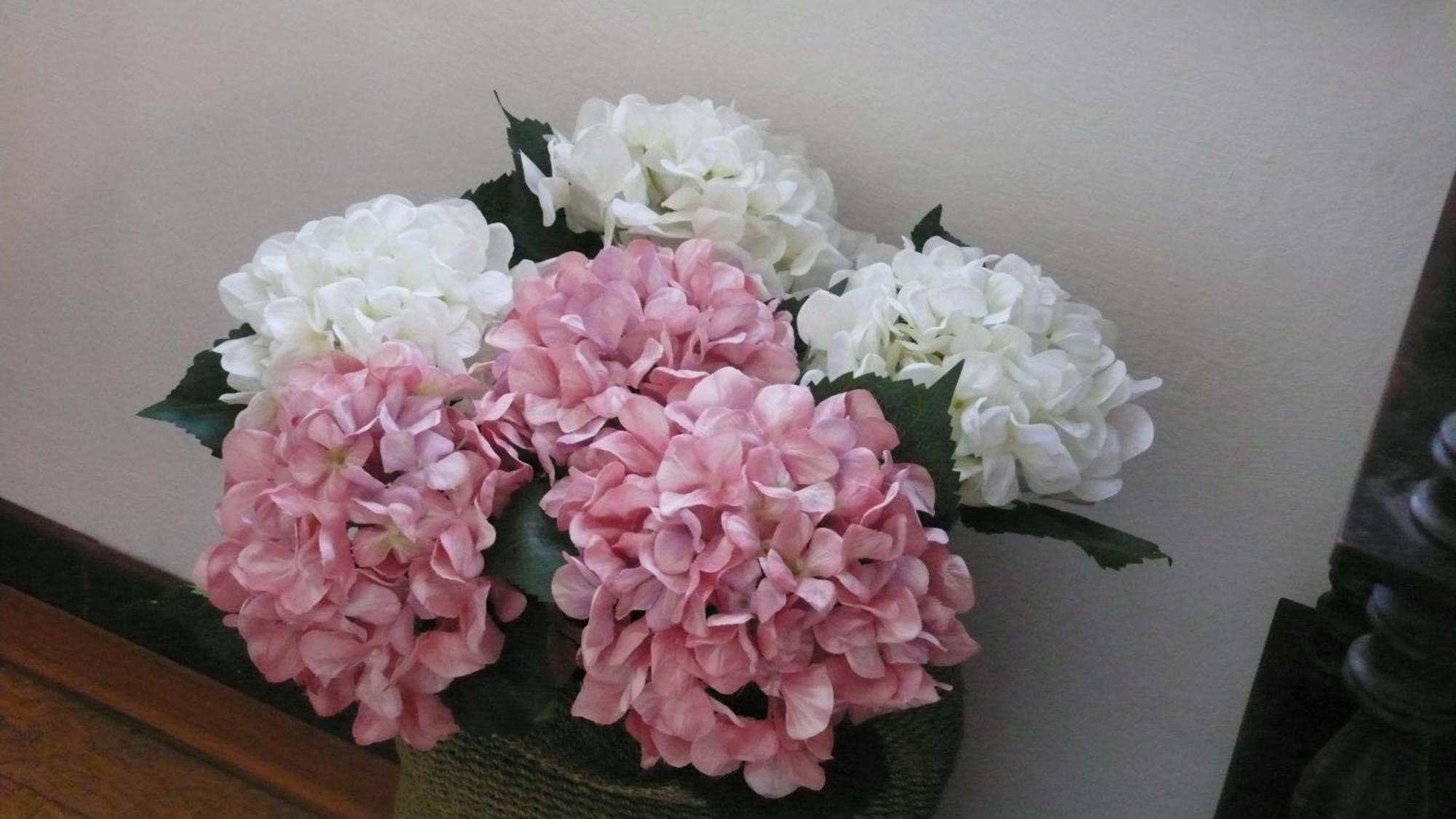 Dimora Fiorita Senior My Holiday Home 瓦拉洛 外观 照片