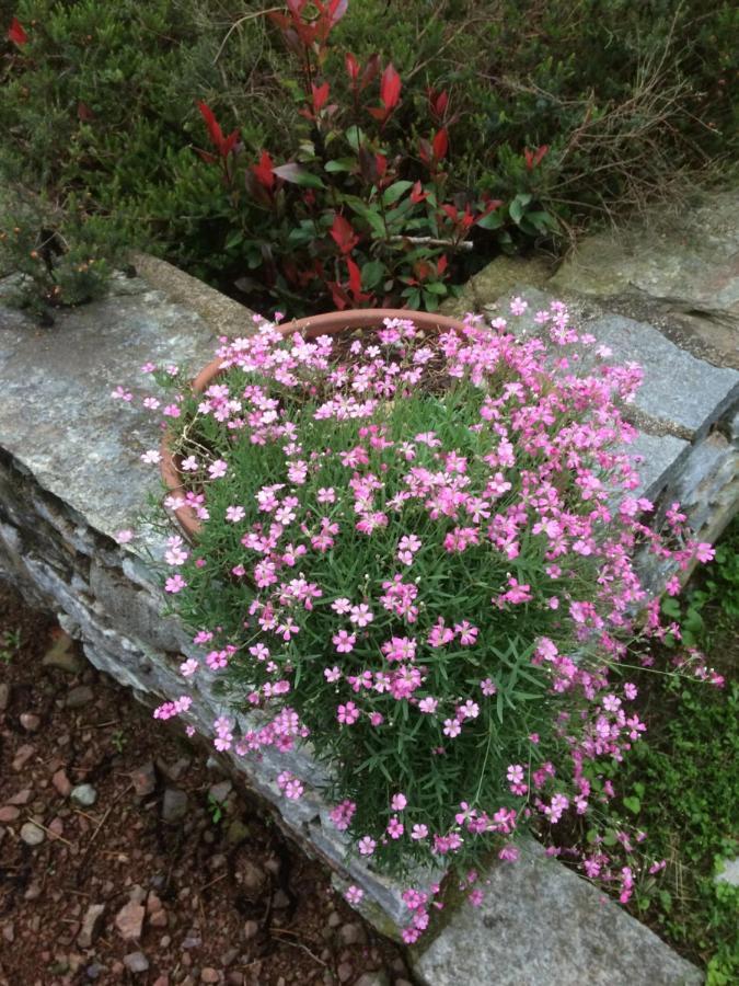 Dimora Fiorita Senior My Holiday Home 瓦拉洛 外观 照片